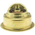 Engine Coolant Thermostat