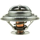 Engine Coolant Thermostat