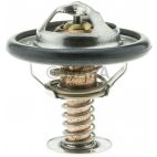 Engine Coolant Thermostat