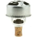 Engine Coolant Thermostat