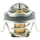 Engine Coolant Thermostat