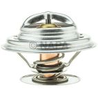 Engine Coolant Thermostat