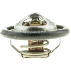 Engine Coolant Thermostat