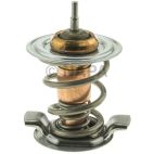 Engine Coolant Thermostat