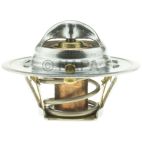Engine Coolant Thermostat