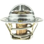 Engine Coolant Thermostat