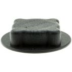 Radiator Cap