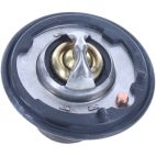 Engine Coolant Thermostat