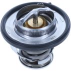 Engine Coolant Thermostat