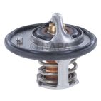 Engine Coolant Thermostat
