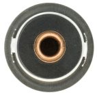 Engine Coolant Thermostat