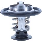 Engine Coolant Thermostat