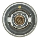 Engine Coolant Thermostat