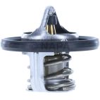 Engine Coolant Thermostat