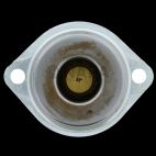 Engine Oil Thermostat