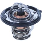 Engine Coolant Thermostat