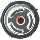 Engine Coolant Thermostat