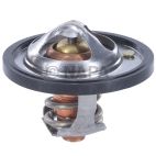 Engine Coolant Thermostat