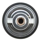 Engine Coolant Thermostat