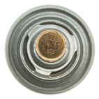 Engine Coolant Thermostat