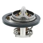 Engine Coolant Thermostat