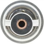 Engine Coolant Thermostat