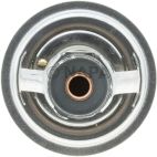 Engine Coolant Thermostat