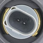 Engine Coolant Thermostat / Water Outlet Assembly