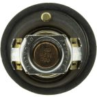Engine Coolant Thermostat