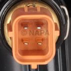 Engine Coolant Thermostat / Water Outlet Assembly