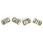 Drum Brake Shoe Hold Down Spring