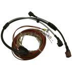 ABS Wheel Speed Sensor Wiring Harness