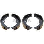 Parking Brake Shoe