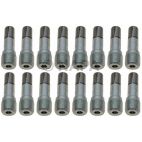 Disc Brake Caliper Bolt