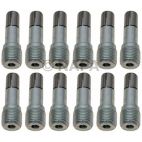 Disc Brake Caliper Bolt