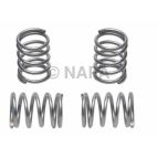 Drum Brake Shoe Hold Down Spring