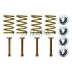 Drum Brake Shoe Hold Down Kit
