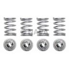 Drum Brake Shoe Hold Down Spring