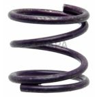 Drum Brake Shoe Hold Down Spring