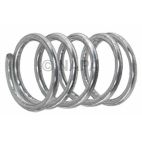 Drum Brake Shoe Hold Down Spring