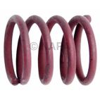 Drum Brake Shoe Hold Down Spring