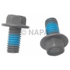 Disc Brake Caliper Bolt