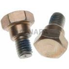 Disc Brake Caliper Bolt