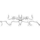 Disc Brake Caliper Hardware Kit