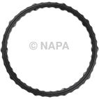 Engine Coolant Thermostat Housing Gasket