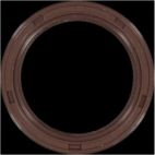 Engine Crankshaft Seal