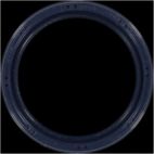 Engine Crankshaft Seal