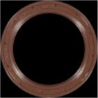 Engine Crankshaft Seal