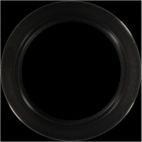 Engine Crankshaft Seal