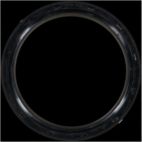 Engine Crankshaft Seal